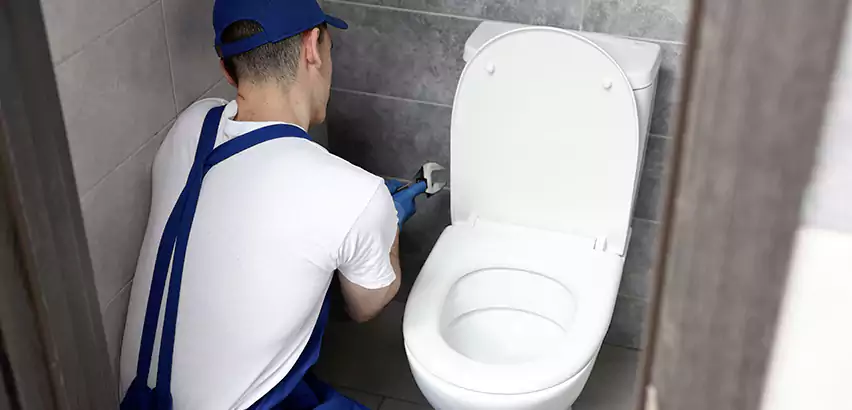 Toilet Lid Replacement in Mastic Beach