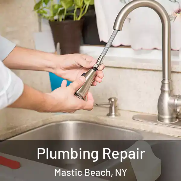  Plumbing Repair Mastic Beach, NY