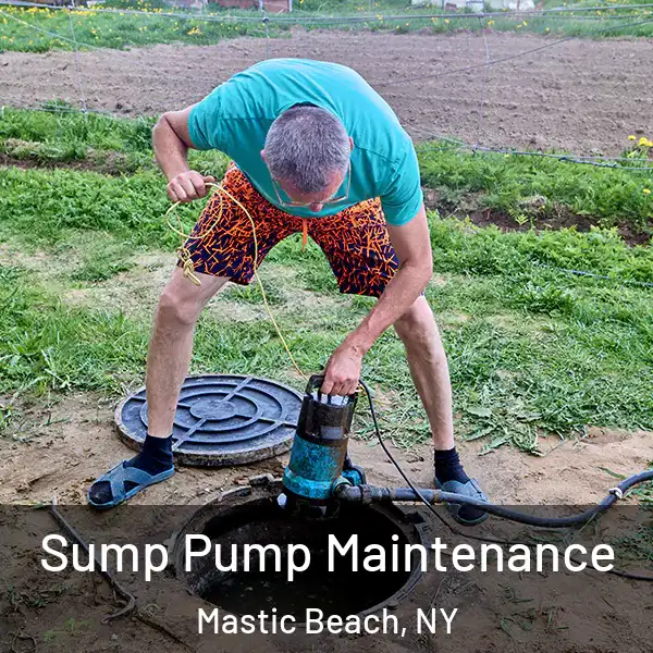  Sump Pump Maintenance Mastic Beach, NY