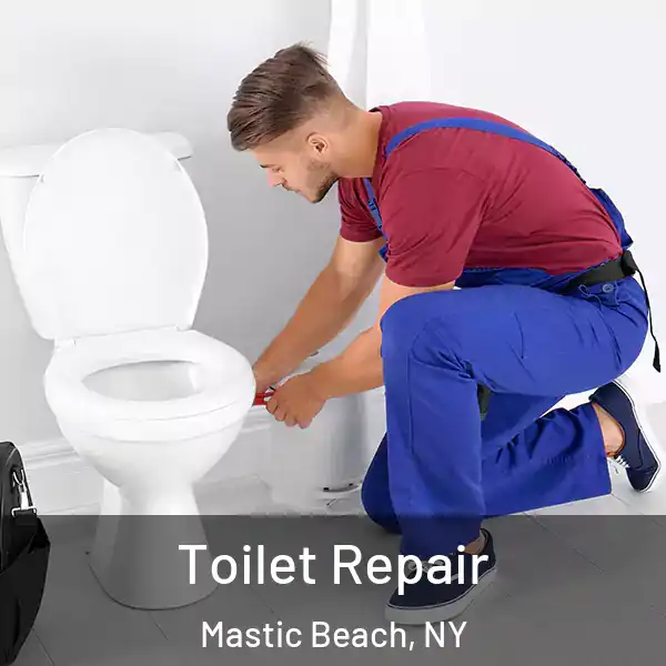  Toilet Repair Mastic Beach, NY