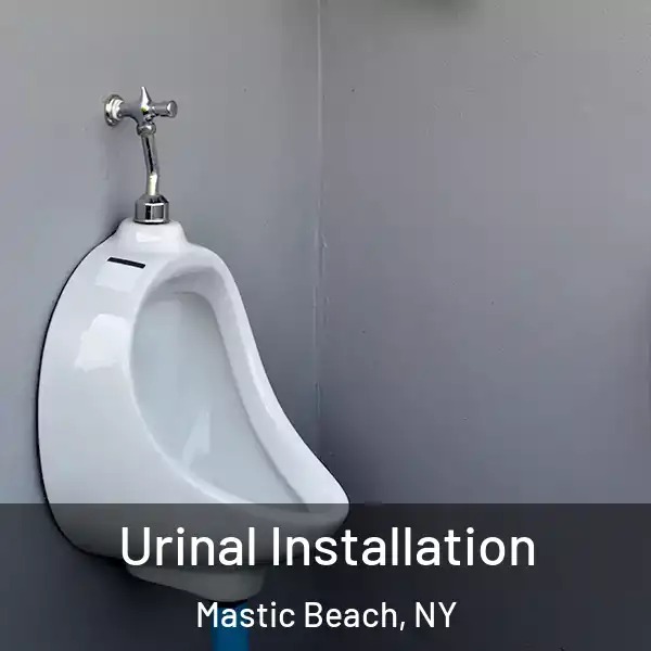  Urinal Installation Mastic Beach, NY
